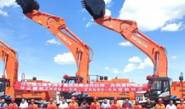 大型挖掘机视频,现场实况视频深度解析